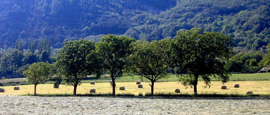 plaine-gite-valbonnais