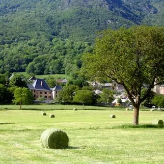 vue de la plaine